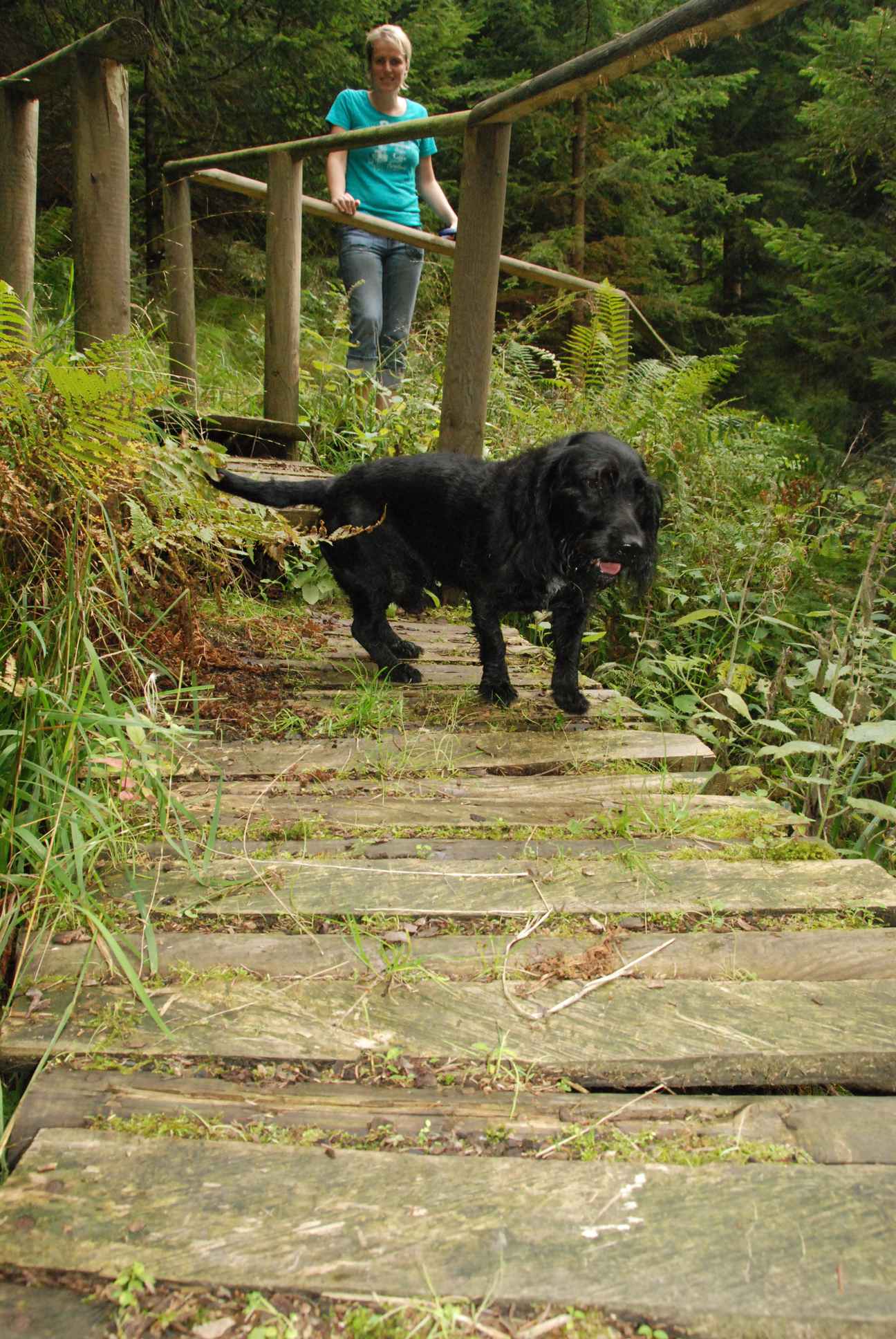 2009-09-20_ntb_8696
