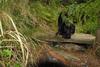 2009-09-20_ntb_8698