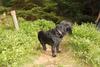 2009-09-20_ntb_8702