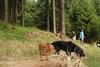 2009-09-20_ntb_8703