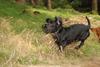 2009-09-20_ntb_8705