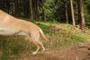 2009-09-20_ntb_8706