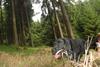 2009-09-20_ntb_8707
