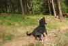 2009-09-20_ntb_8708