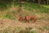 2009-09-20_ntb_8709