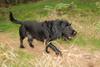 2009-09-20_ntb_8711