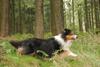 2009-09-20_ntb_8714