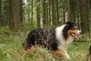2009-09-20_ntb_8716