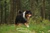 2009-09-20_ntb_8717