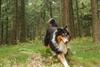 2009-09-20_ntb_8719
