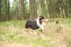2009-09-20_ntb_8720