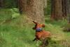 2009-09-20_ntb_8721