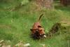 2009-09-20_ntb_8722