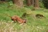 2009-09-20_ntb_8723