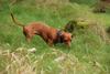 2009-09-20_ntb_8724
