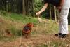 2009-09-20_ntb_8725