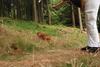 2009-09-20_ntb_8726