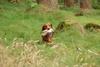 2009-09-20_ntb_8727