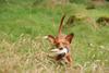 2009-09-20_ntb_8728