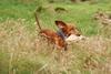 2009-09-20_ntb_8729