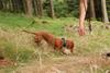 2009-09-20_ntb_8730