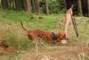 2009-09-20_ntb_8732
