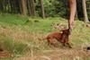 2009-09-20_ntb_8733