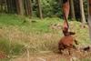 2009-09-20_ntb_8734