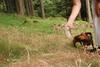 2009-09-20_ntb_8735