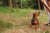 2009-09-20_ntb_8736