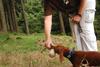 2009-09-20_ntb_8737
