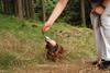 2009-09-20_ntb_8738