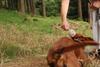 2009-09-20_ntb_8739