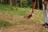 2009-09-20_ntb_8740