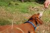 2009-09-20_ntb_8741