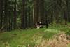 2009-09-20_ntb_8744