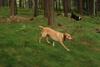 2009-09-20_ntb_8746