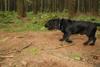 2009-09-20_ntb_8751