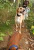 2009-09-20_ntb_8756