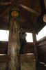 2009-09-20_ntb_8757