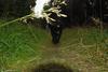 2009-09-20_ntb_8763
