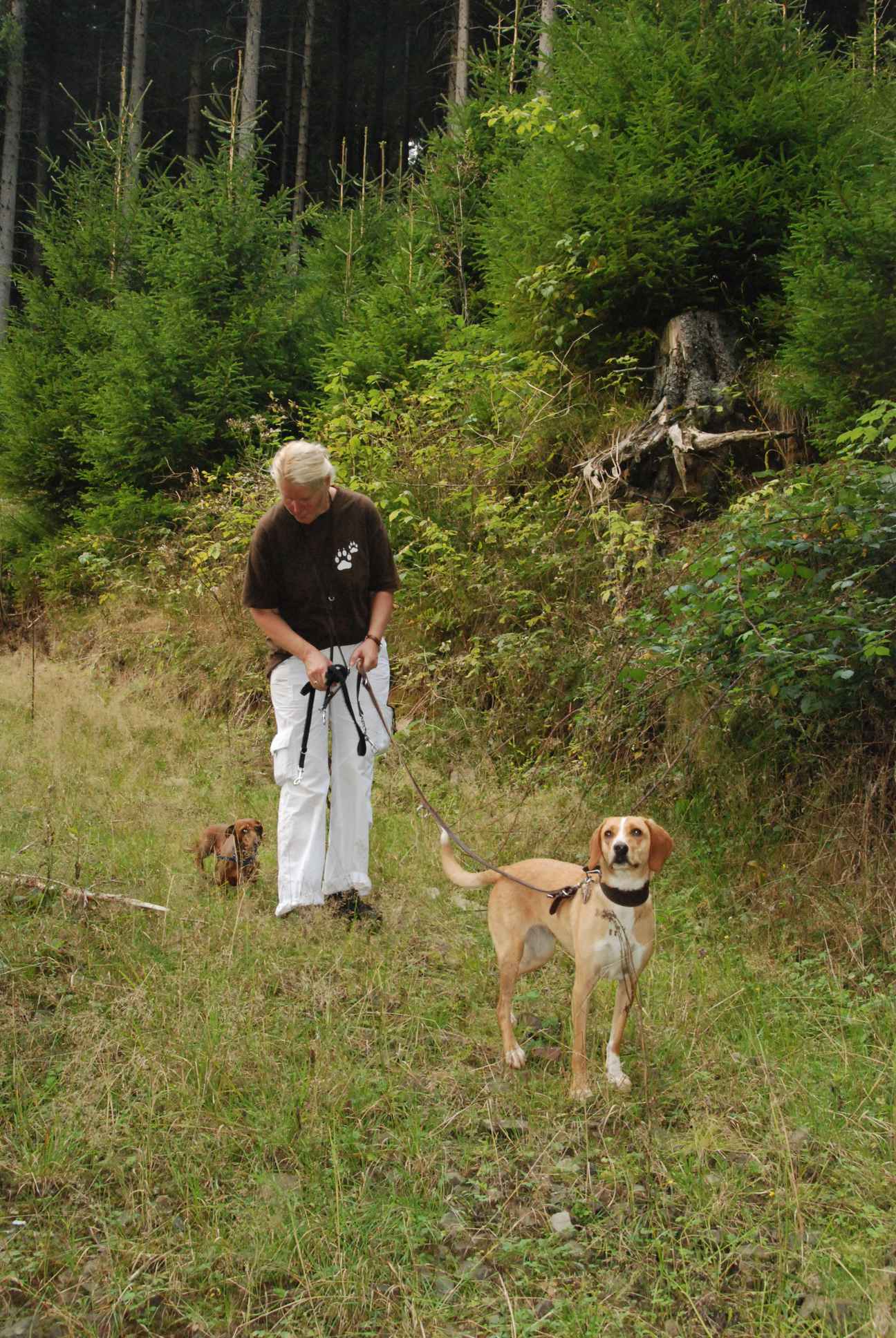 2009-09-20_ntb_8770