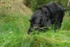 2009-09-20_ntb_8772