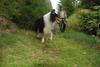 2009-09-20_ntb_8773