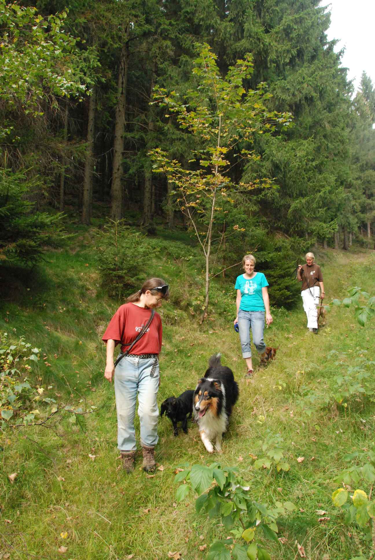 2009-09-20_ntb_8780