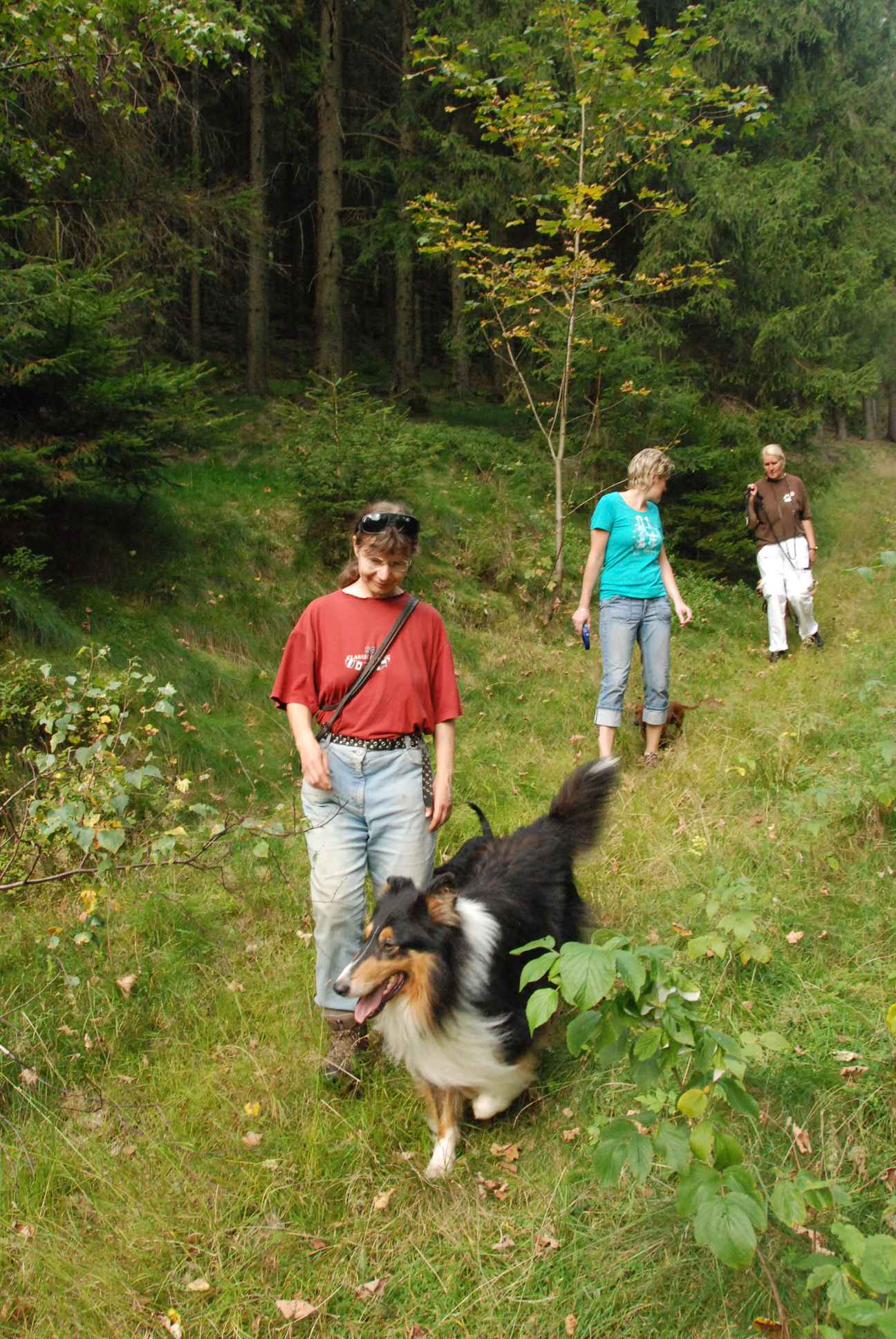 2009-09-20_ntb_8781