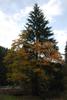 2009-09-20_ntb_8782