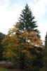 2009-09-20_ntb_8783