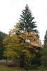 2009-09-20_ntb_8784