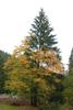 2009-09-20_ntb_8785